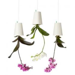 Jardini�re sky planter