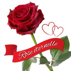 Rose imp�rissable � Un cadeau extraordinaire 