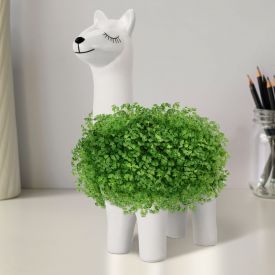 Green Lama - Pflanztier