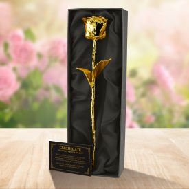 Geschenke für ältere frauen - Bewundern Sie dem Testsieger unserer Redaktion