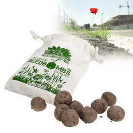 Seedbombs - Wilde Wiese