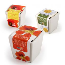 Sommer Blumen im Mini-Keramiktopf