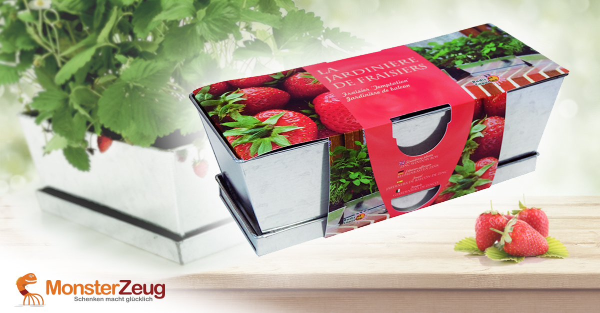 Alle Tanzen Zum Geburtstag Video Daniela Katzenberger Rtl 2